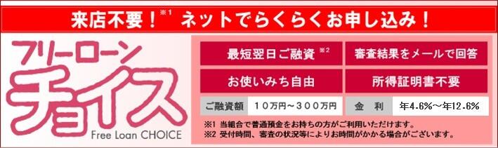 チョイス完結型